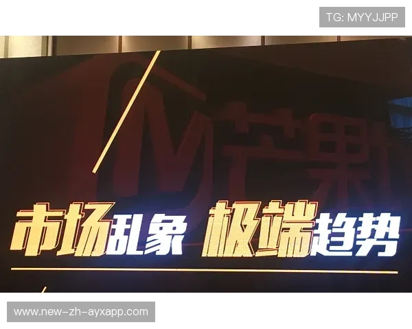 成都蓉城亚冠球衣与版权商业化策略探讨